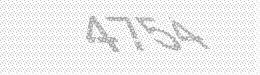 Visual security code — type the characters shown in the image