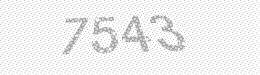 Visual security code — type the characters shown in the image